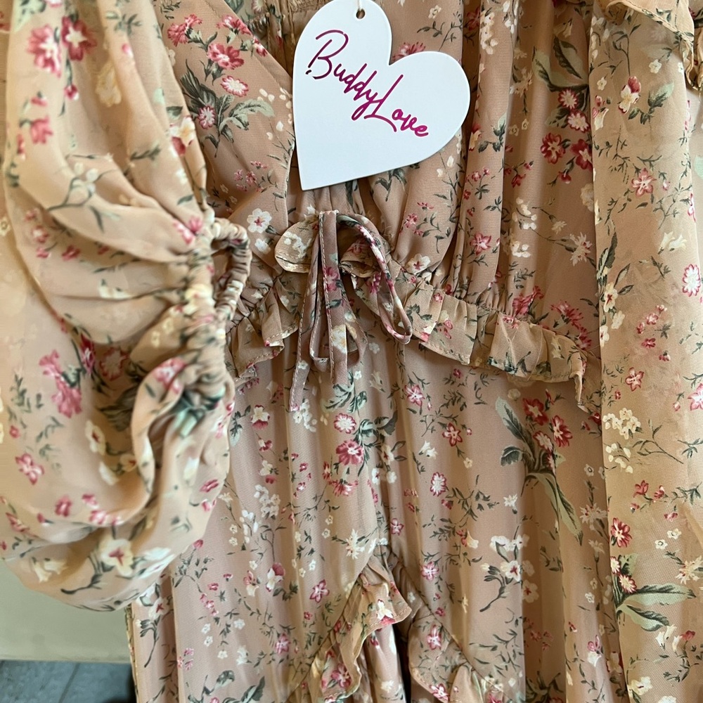 NWT Buddy Love Pia Long Sleeve Maxi Dress - Picture 8 of 13